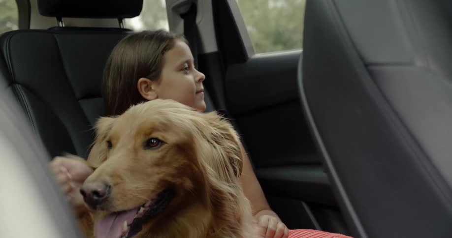 Family Drives To The River
