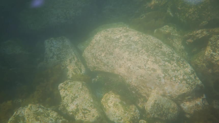 The sun shines on rocks through the river water