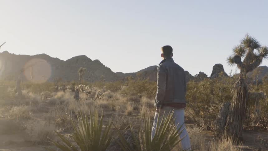 A man walks past cactus and brush in a desert