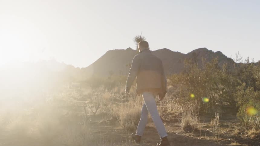 Man walking past shrubs and sand into the sun
