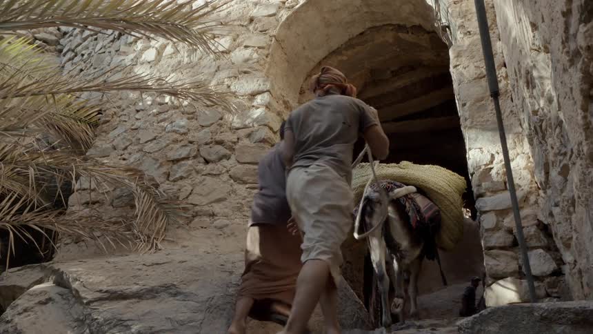 The donkey with his pack rapidly ascends the steps  into the tunnel with his cohorts following