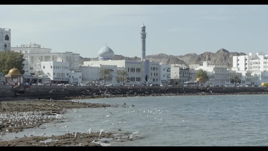 Seagulls gather on a beach next to a mosque