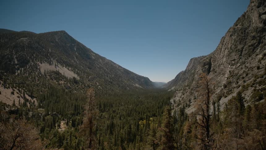 A mountain valley with pine trees