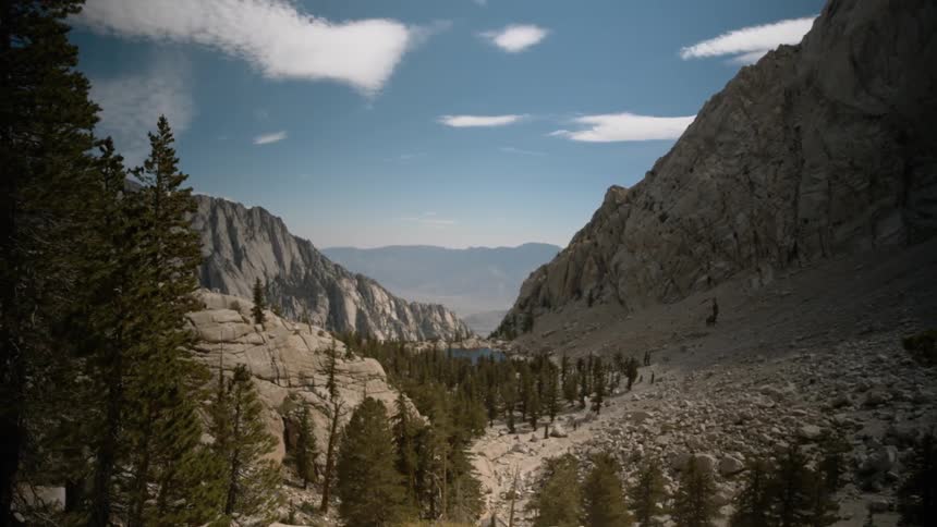 Blue sky over trees in a rocky canyon