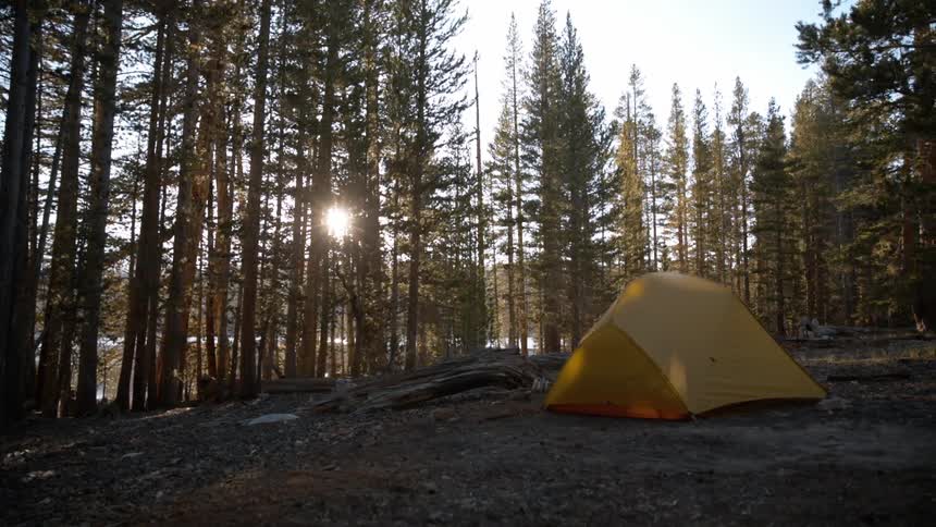 A yellow tent in a forest on a sunny day