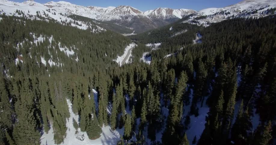Overhead view of a snow covered forest and mountains