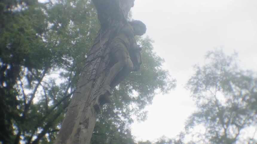 Jesus on a cross near the trees