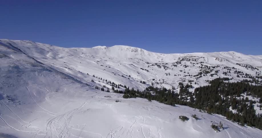 A snow covered mountain with pine trees