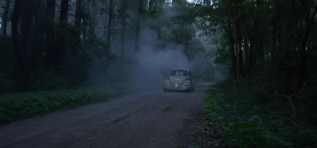 Volkswagen travels on a road in the forest