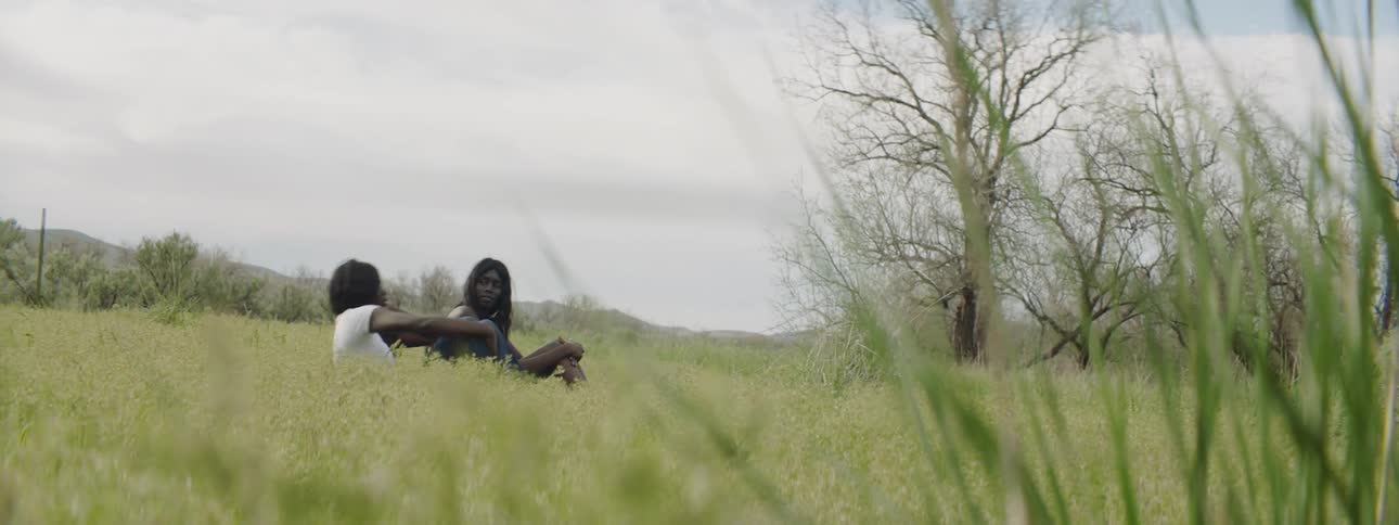 Two african american sit in the field and talk as they enjoy the view
