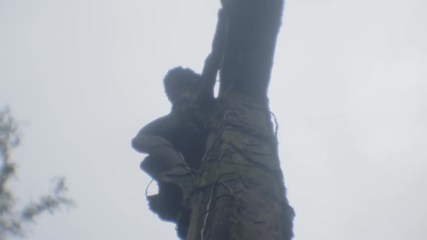 Symbol of catholic and christian faiths in a misty fog is slowly circled  in a close shot from below