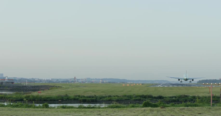 The shore is covered with green grass near the runway as a plane lands