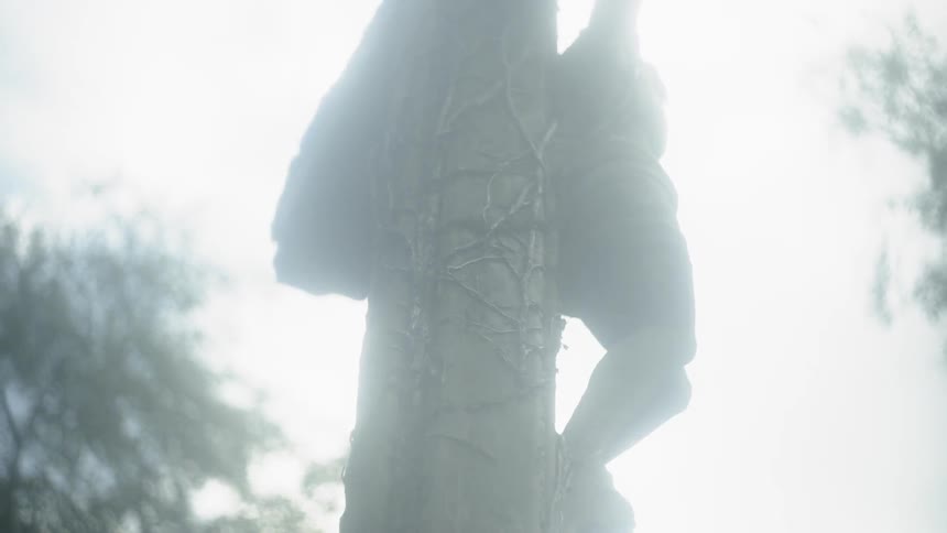 A statue of crucified jesus stands between trees