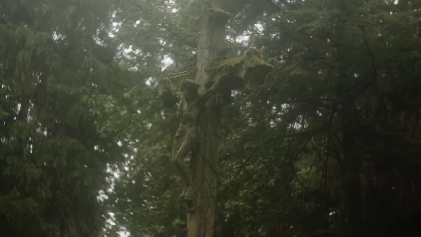 The trees have green leaves on them