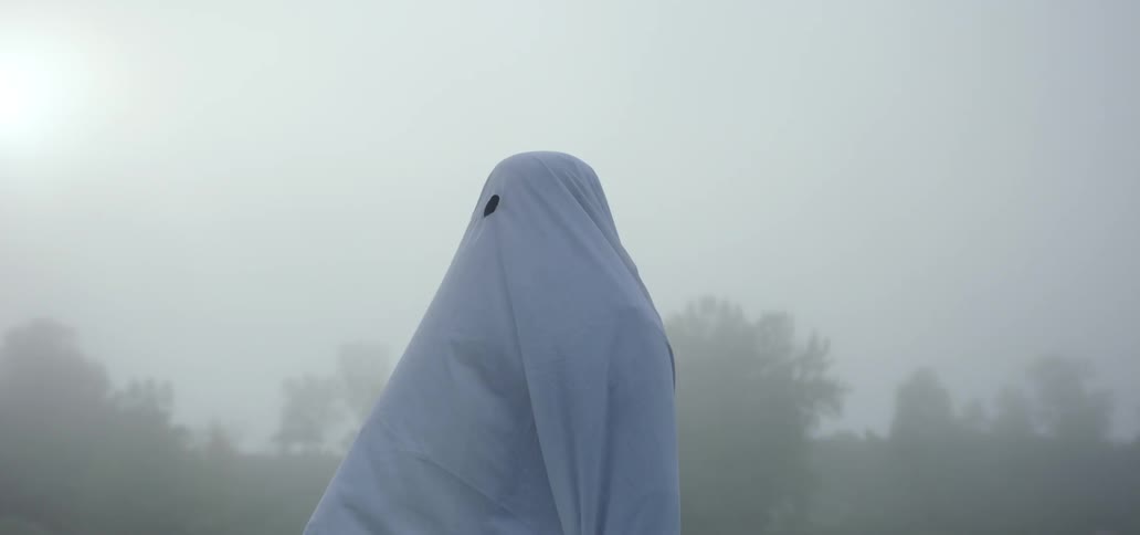 A person dressed as a ghost on a misty field