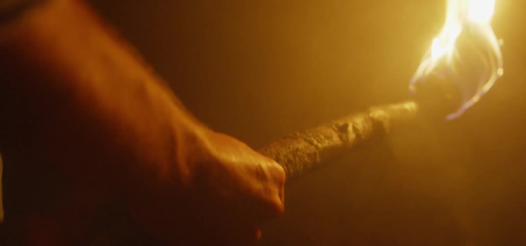 A person is holding a lit torch