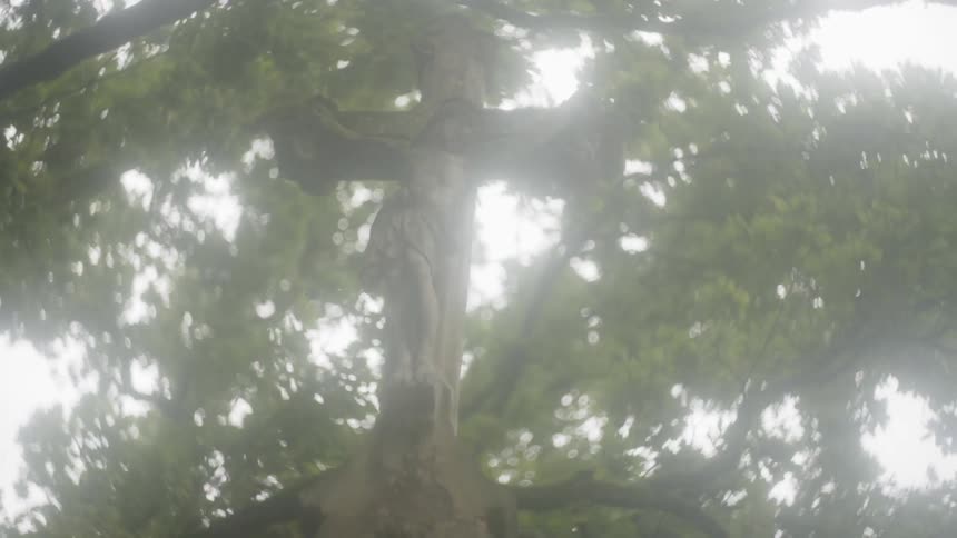 Carving of a cross in the woods