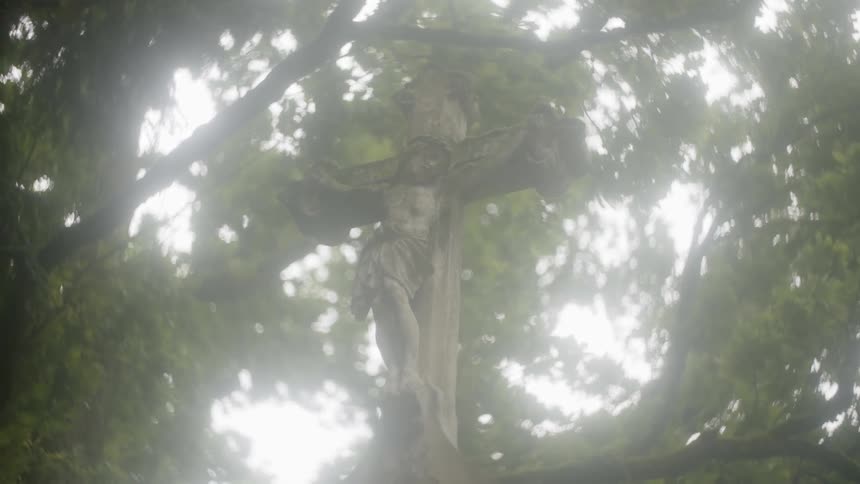The cross sits in the tall tree