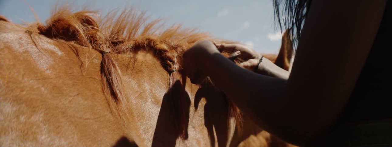 A woman cares for a ginger mare