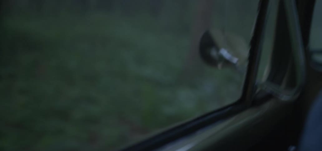 A car travels on a forest road on a misty day