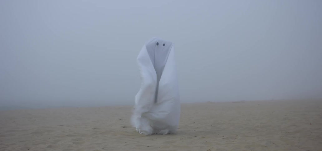 A person is wearing a ghost costume