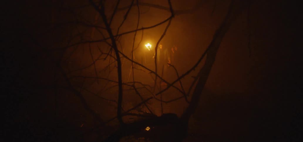 A man holds the hand of a female friend while he illuminates their path using a flaming torch
