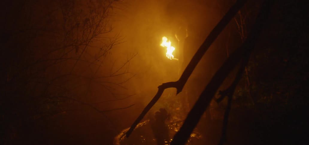People carry a burning torch in a foggy forest at night