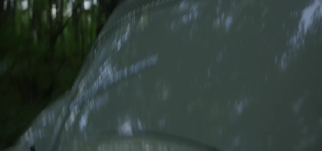 A vehicle drives fast in the forest