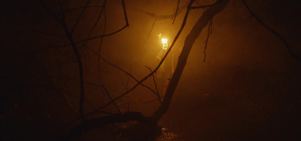 A person is holding a lighted torch in the woods