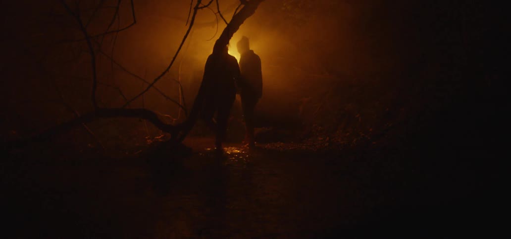 Couple Walking Through Woods Carrying A Torch