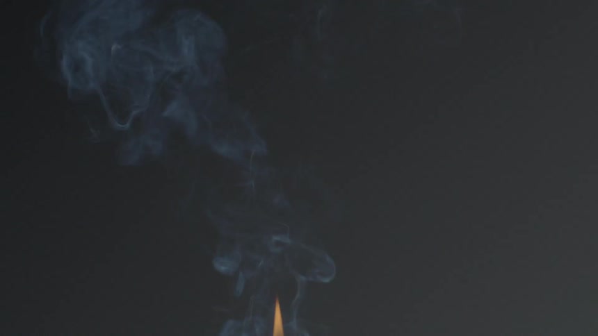 A purple flower is burned