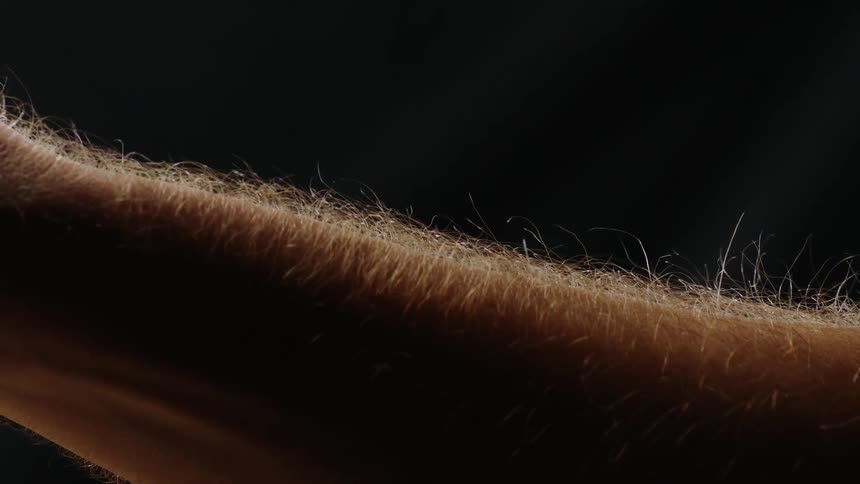 Hair on an arm stands up straight