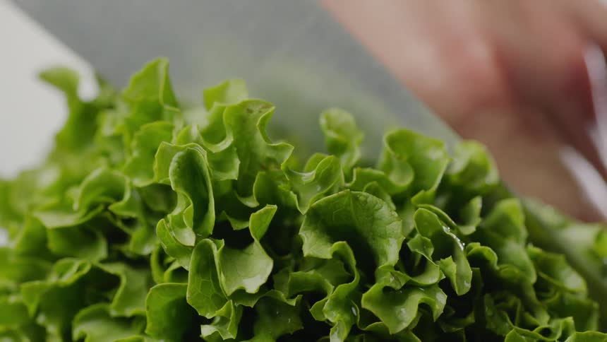 Knife cuts into a bunch of lettuce