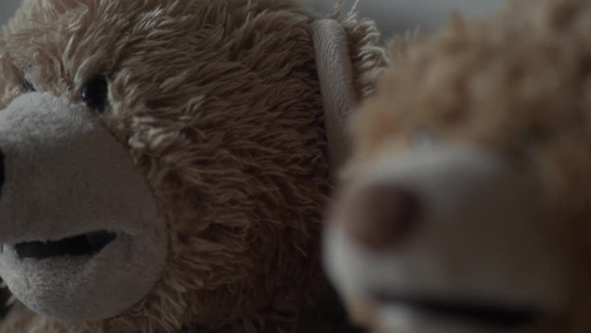 Close up shot of teddy bears