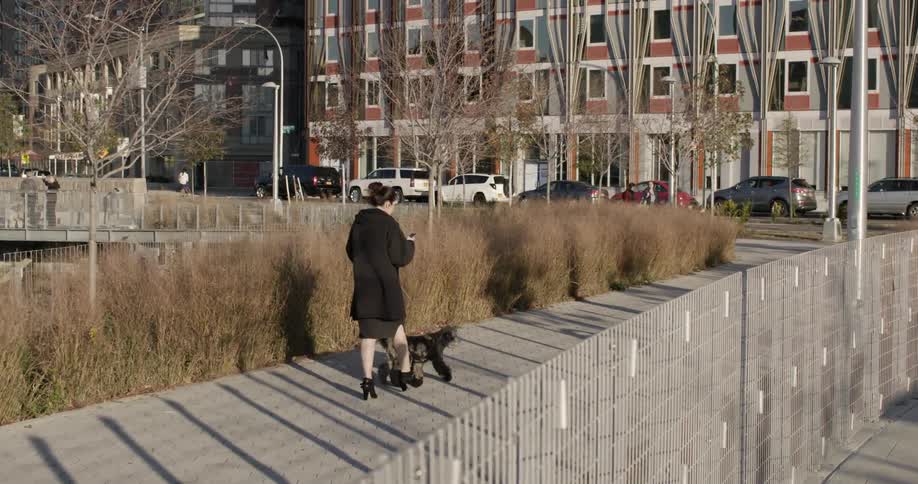 Woman walks her dog on a city sidewalk