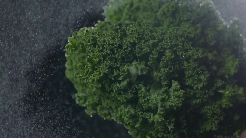 Water mist dropping on lettuce