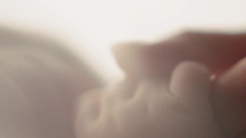 Large hand grasps a small hand in light
