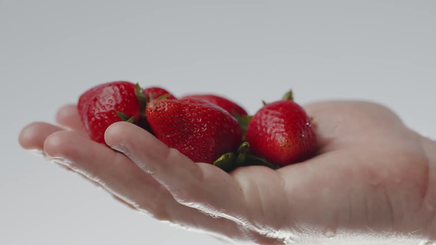A palm of ripened strawberries