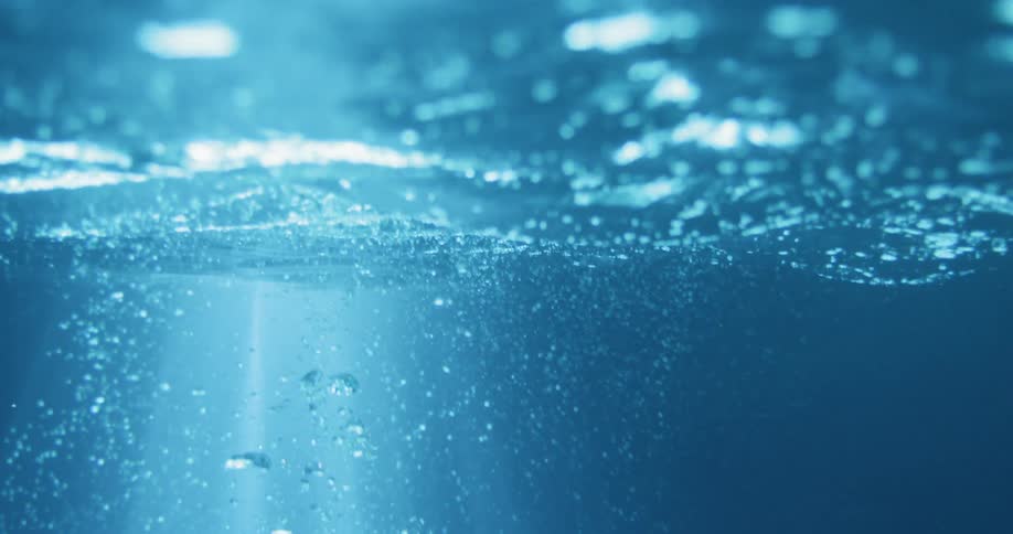 Bubbles rise to the surface in a body of water
