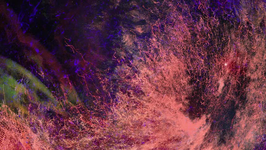 Multicolored strands float and swirl