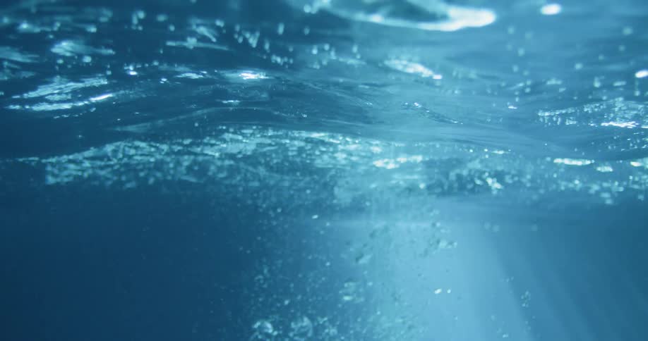 Bubbles are floating to the top of water