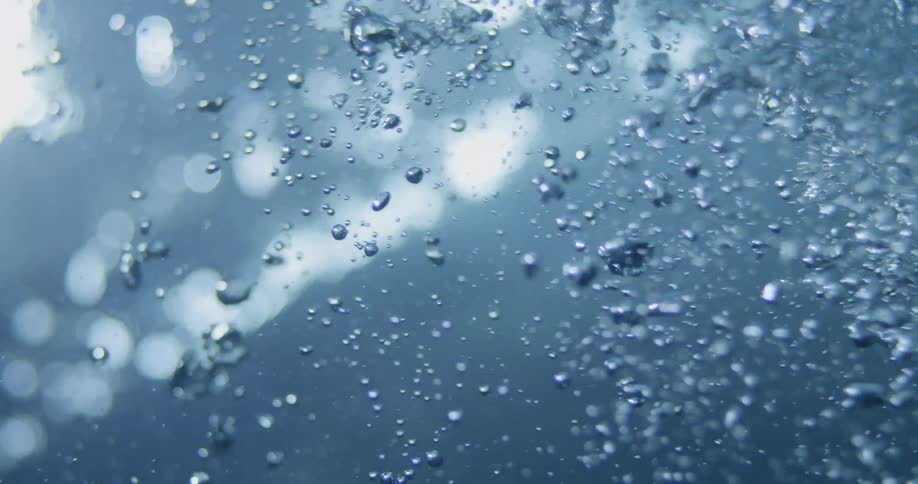 Air bubbles rising through water