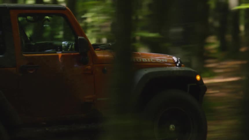 A jeep truck is driven through the woods