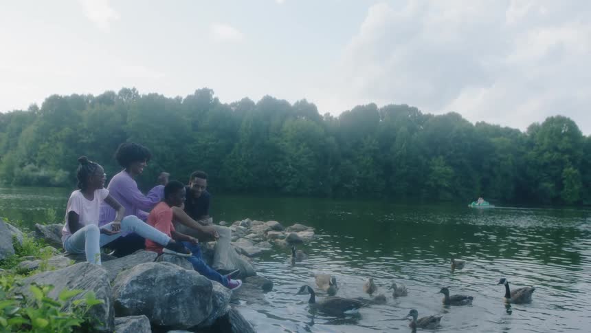 A family of four are sitting on rocks feeding geese