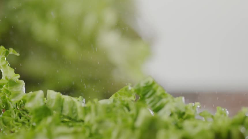 Lettuce is being cut with a knife on a table