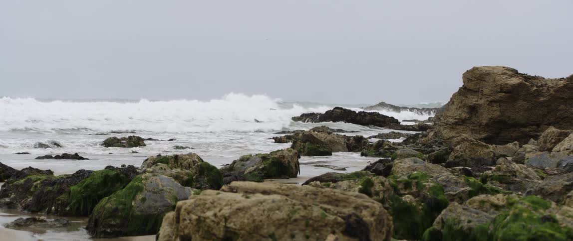 Waves crash against a rocky shore