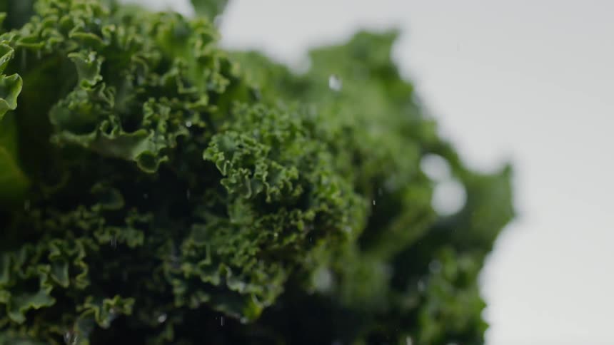 Salad is dropped to a surface, shedding water after being washed