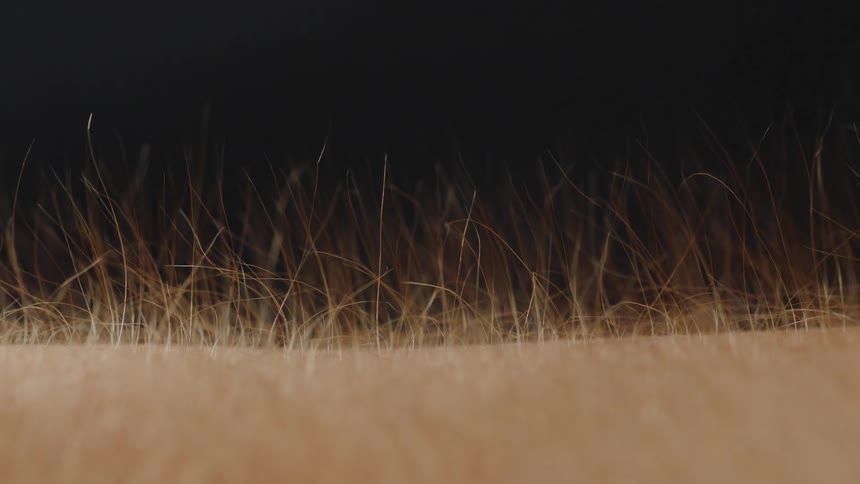 Arm hairs rising and falling