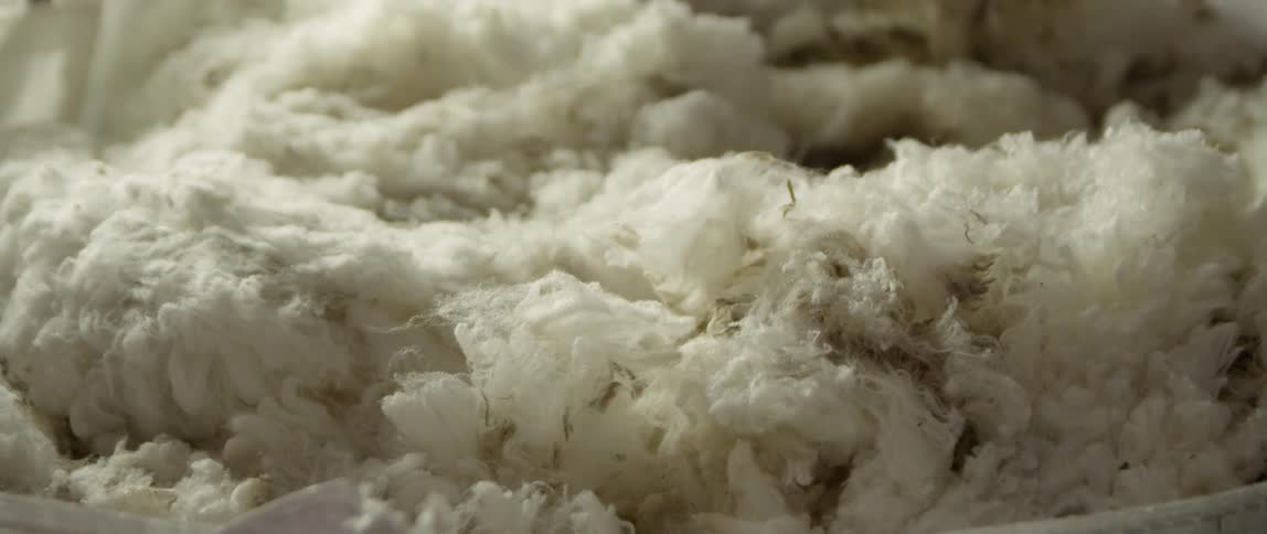 A bunch of wool