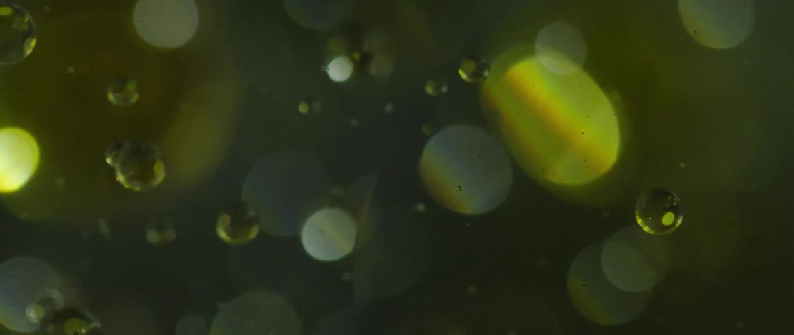 Bubbles float on a shimmering green liquid